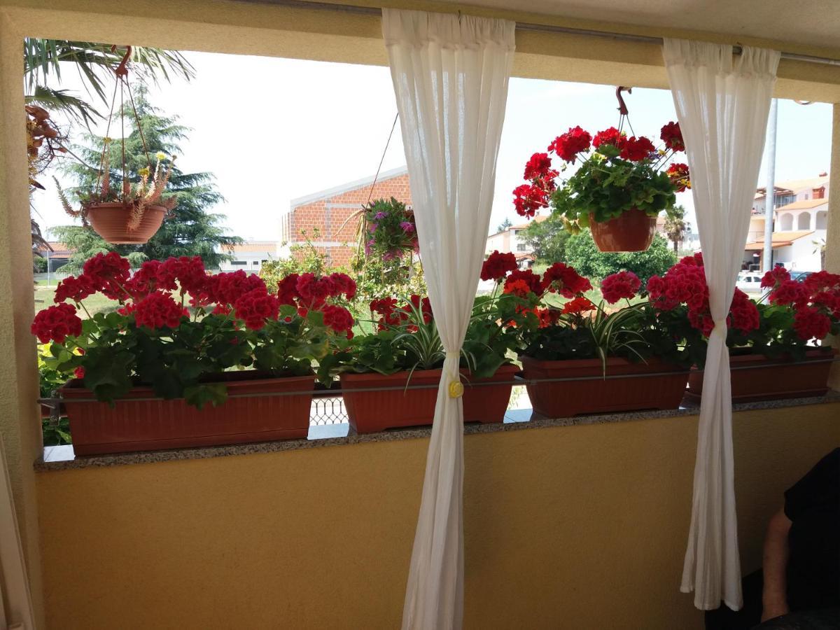 Apartman Luka Fažana Exteriér fotografie
